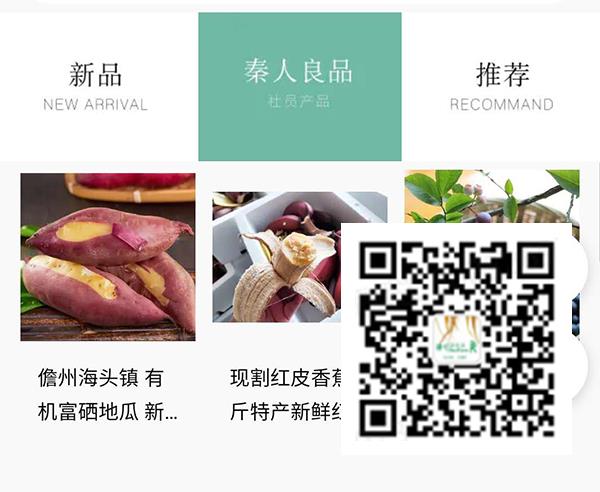 秦人良品
